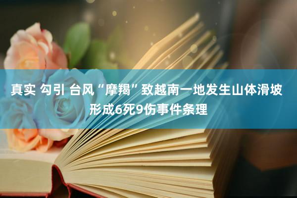 真实 勾引 台风“摩羯”致越南一地发生山体滑坡 形成6死9伤事件条理