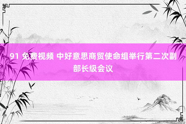 91 免费视频 中好意思商贸使命组举行第二次副部长级会议