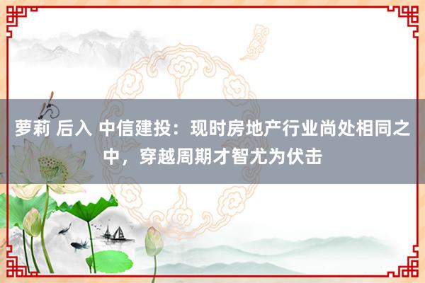 萝莉 后入 中信建投：现时房地产行业尚处相同之中，穿越周期才智尤为伏击