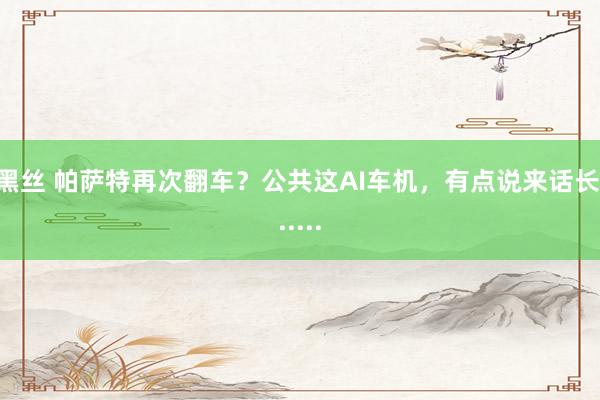 黑丝 帕萨特再次翻车？公共这AI车机，有点说来话长......