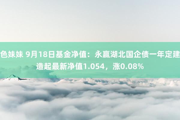 色妹妹 9月18日基金净值：永赢湖北国企债一年定建造起最新净值1.054，涨0.08%