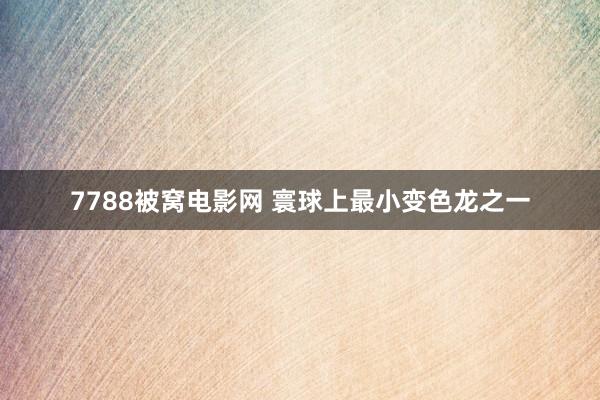 7788被窝电影网 寰球上最小变色龙之一