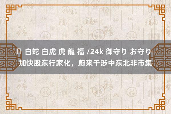 ✨白蛇 白虎 虎 龍 福 /24k 御守り お守り 加快股东行家化，蔚来干涉中东北非市集