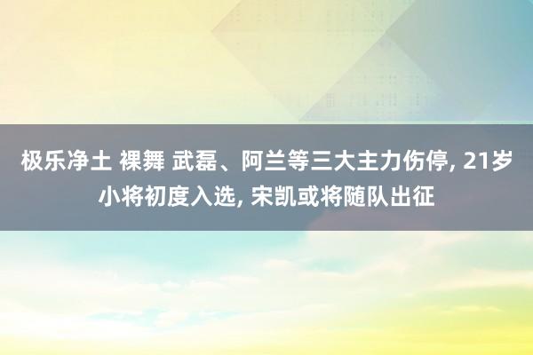 极乐净土 裸舞 武磊、阿兰等三大主力伤停, 21岁小将初度入选, 宋凯或将随队出征