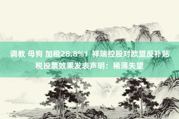 调教 母狗 加税28.8%！祥瑞控股对欧盟反补贴税投票效果发表声明：稀薄失望