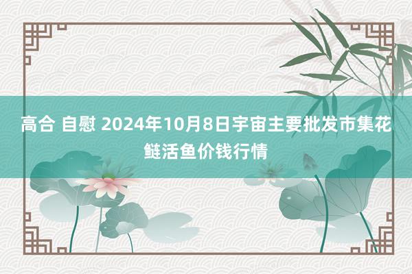 高合 自慰 2024年10月8日宇宙主要批发市集花鲢活鱼价钱行情