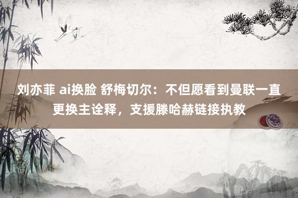 刘亦菲 ai换脸 舒梅切尔：不但愿看到曼联一直更换主诠释，支援滕哈赫链接执教