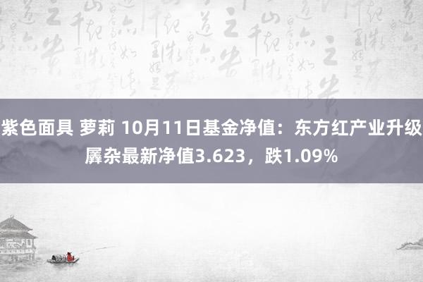 紫色面具 萝莉 10月11日基金净值：东方红产业升级羼杂最新净值3.623，跌1.09%