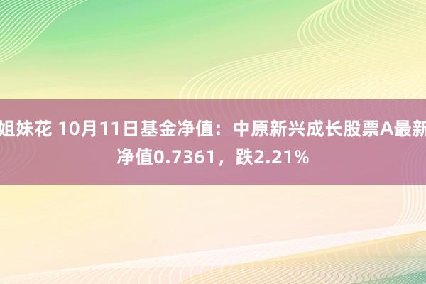 姐妹花 10月11日基金净值：中原新兴成长股票A最新净值0.7361，跌2.21%