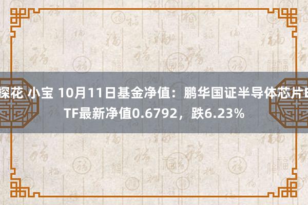 探花 小宝 10月11日基金净值：鹏华国证半导体芯片ETF最新净值0.6792，跌6.23%