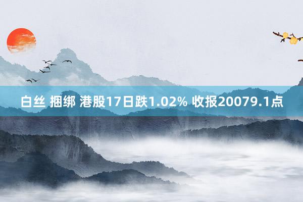 白丝 捆绑 港股17日跌1.02% 收报20079.1点