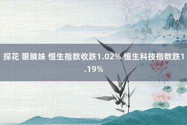 探花 眼睛妹 恒生指数收跌1.02% 恒生科技指数跌1.19%