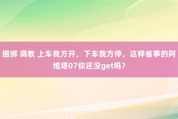 捆绑 调教 上车我方开，下车我方停，这样省事的阿维塔07你还没get吗？