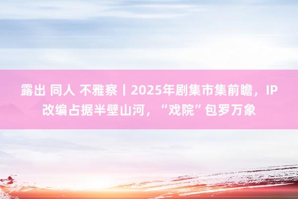 露出 同人 不雅察丨2025年剧集市集前瞻，IP改编占据半壁山河，“戏院”包罗万象