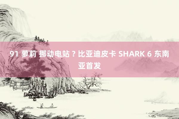 91 萝莉 挪动电站 ? 比亚迪皮卡 SHARK 6 东南亚首发