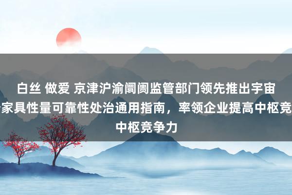 白丝 做爱 京津沪渝阛阓监管部门领先推出宇宙首个家具性量可靠性处治通用指南，率领企业提高中枢竞争力