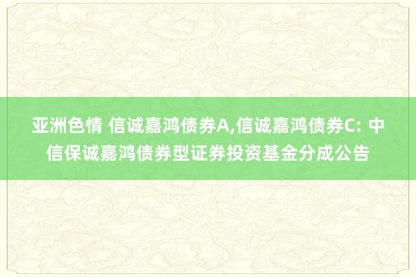 亚洲色情 信诚嘉鸿债券A,信诚嘉鸿债券C: 中信保诚嘉鸿债券型证券投资基金分成公告