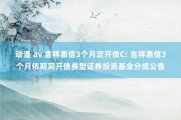 动漫 av 吉祥惠信3个月定开债C: 吉祥惠信3个月依期洞开债券型证券投资基金分成公告