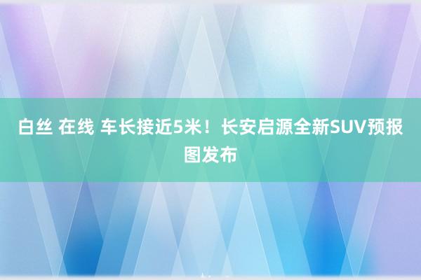 白丝 在线 车长接近5米！长安启源全新SUV预报图发布