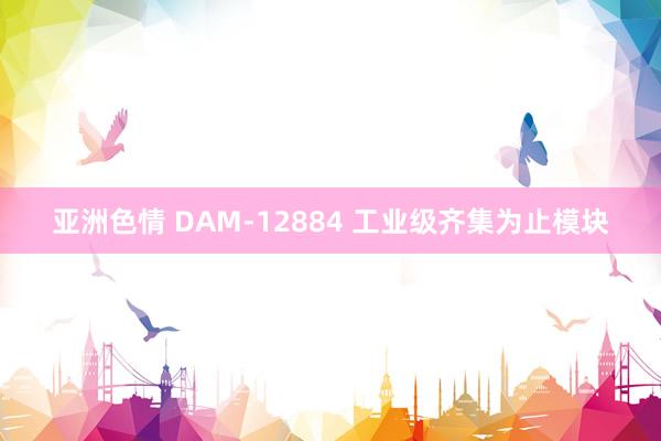 亚洲色情 DAM-12884 工业级齐集为止模块