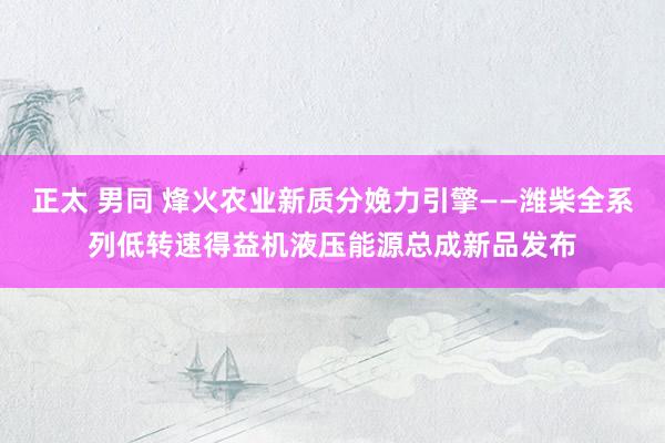 正太 男同 烽火农业新质分娩力引擎——潍柴全系列低转速得益机液压能源总成新品发布