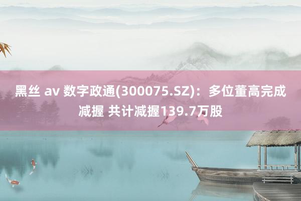 黑丝 av 数字政通(300075.SZ)：多位董高完成减握 共计减握139.7万股