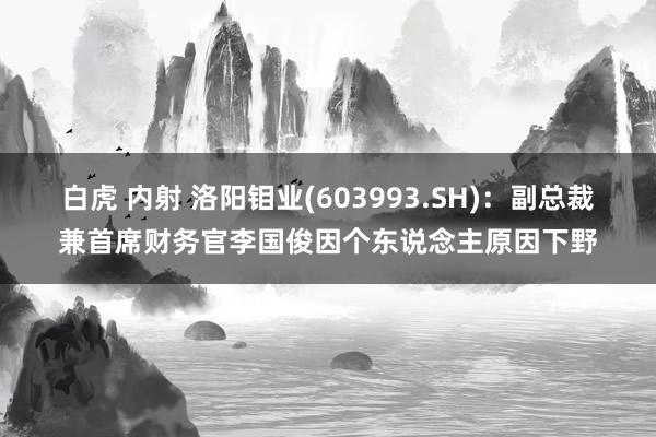 白虎 内射 洛阳钼业(603993.SH)：副总裁兼首席财务官李国俊因个东说念主原因下野