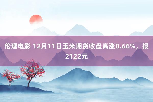 伦理电影 12月11日玉米期货收盘高涨0.66%，报2122元