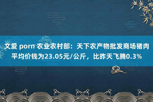 文爱 porn 农业农村部：天下农产物批发商场猪肉平均价钱为23.05元/公斤，比昨天飞腾0.3%