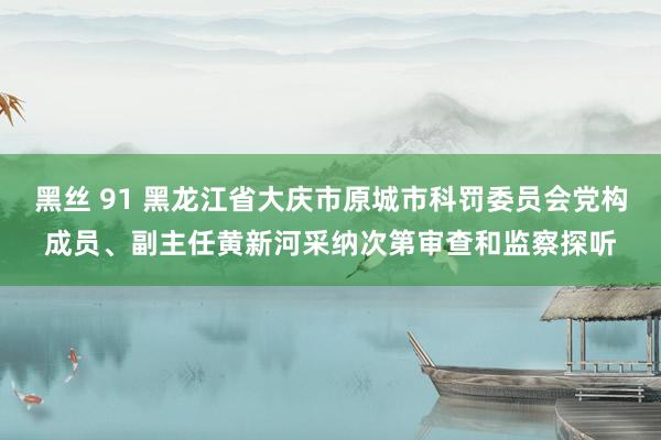 黑丝 91 黑龙江省大庆市原城市科罚委员会党构成员、副主任黄新河采纳次第审查和监察探听