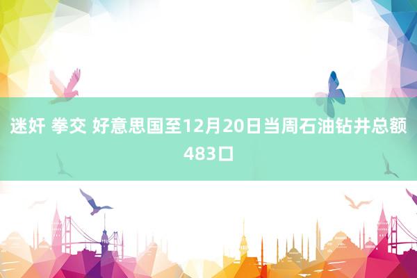 迷奸 拳交 好意思国至12月20日当周石油钻井总额483口