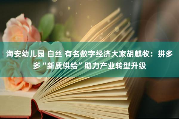 海安幼儿园 白丝 有名数字经济大家胡麒牧：拼多多“新质供给”助力产业转型升级