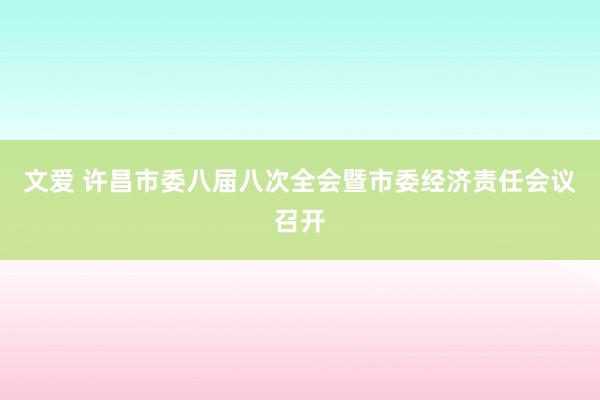 文爱 许昌市委八届八次全会暨市委经济责任会议召开