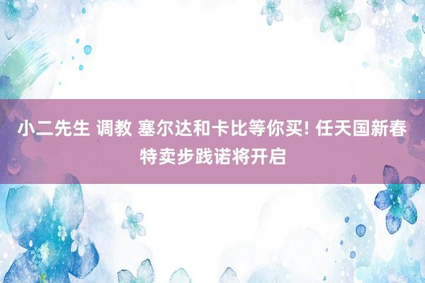 小二先生 调教 塞尔达和卡比等你买! 任天国新春特卖步践诺将开启