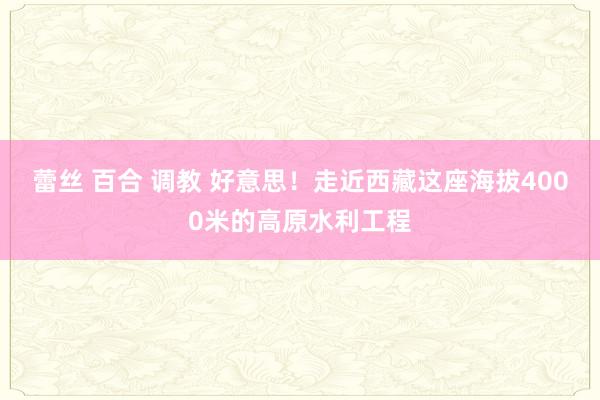 蕾丝 百合 调教 好意思！走近西藏这座海拔4000米的高原水利工程