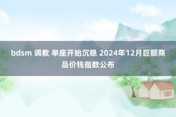 bdsm 调教 举座开始沉稳 2024年12月巨额商品价钱指数公布