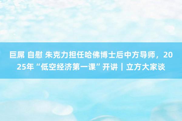 巨屌 自慰 朱克力担任哈佛博士后中方导师，2025年“低空经济第一课”开讲｜立方大家谈