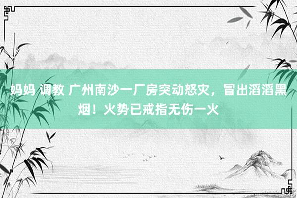 妈妈 调教 广州南沙一厂房突动怒灾，冒出滔滔黑烟！火势已戒指无伤一火