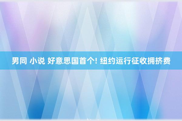 男同 小说 好意思国首个! 纽约运行征收拥挤费