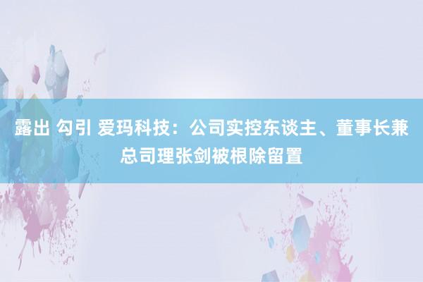 露出 勾引 爱玛科技：公司实控东谈主、董事长兼总司理张剑被根除留置