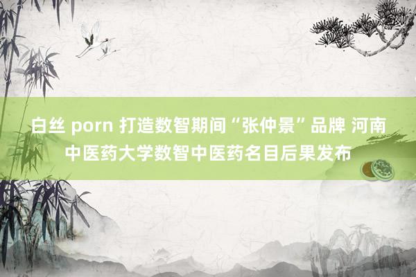 白丝 porn 打造数智期间“张仲景”品牌 河南中医药大学数智中医药名目后果发布