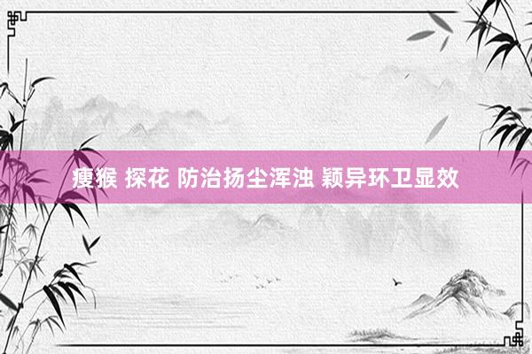 瘦猴 探花 防治扬尘浑浊 颖异环卫显效