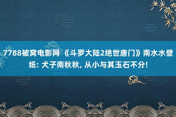 7788被窝电影网 《斗罗大陆2绝世唐门》南水水壁纸: 犬子南秋秋, 从小与其玉石不分!