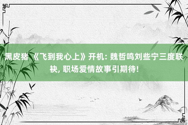 黑皮猪 《飞到我心上》开机: 魏哲鸣刘些宁三度联袂, 职场爱情故事引期待!
